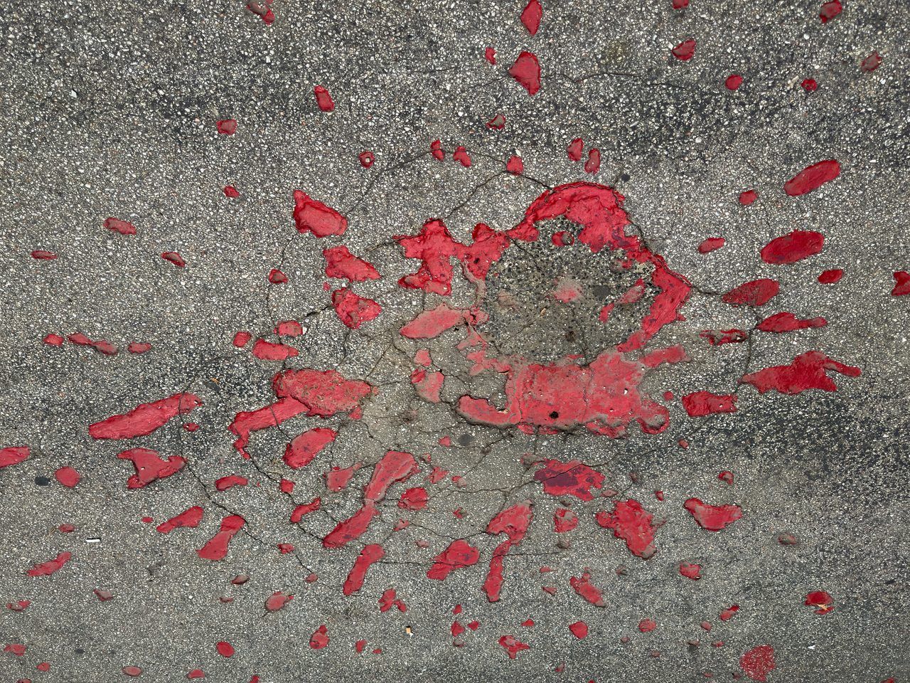 Roses de Sarajevo