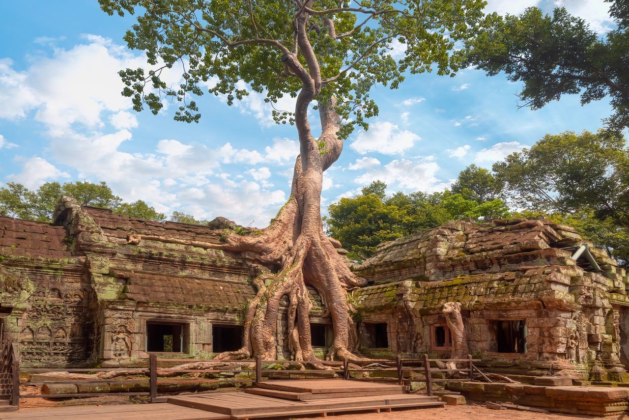 Ta Prohm