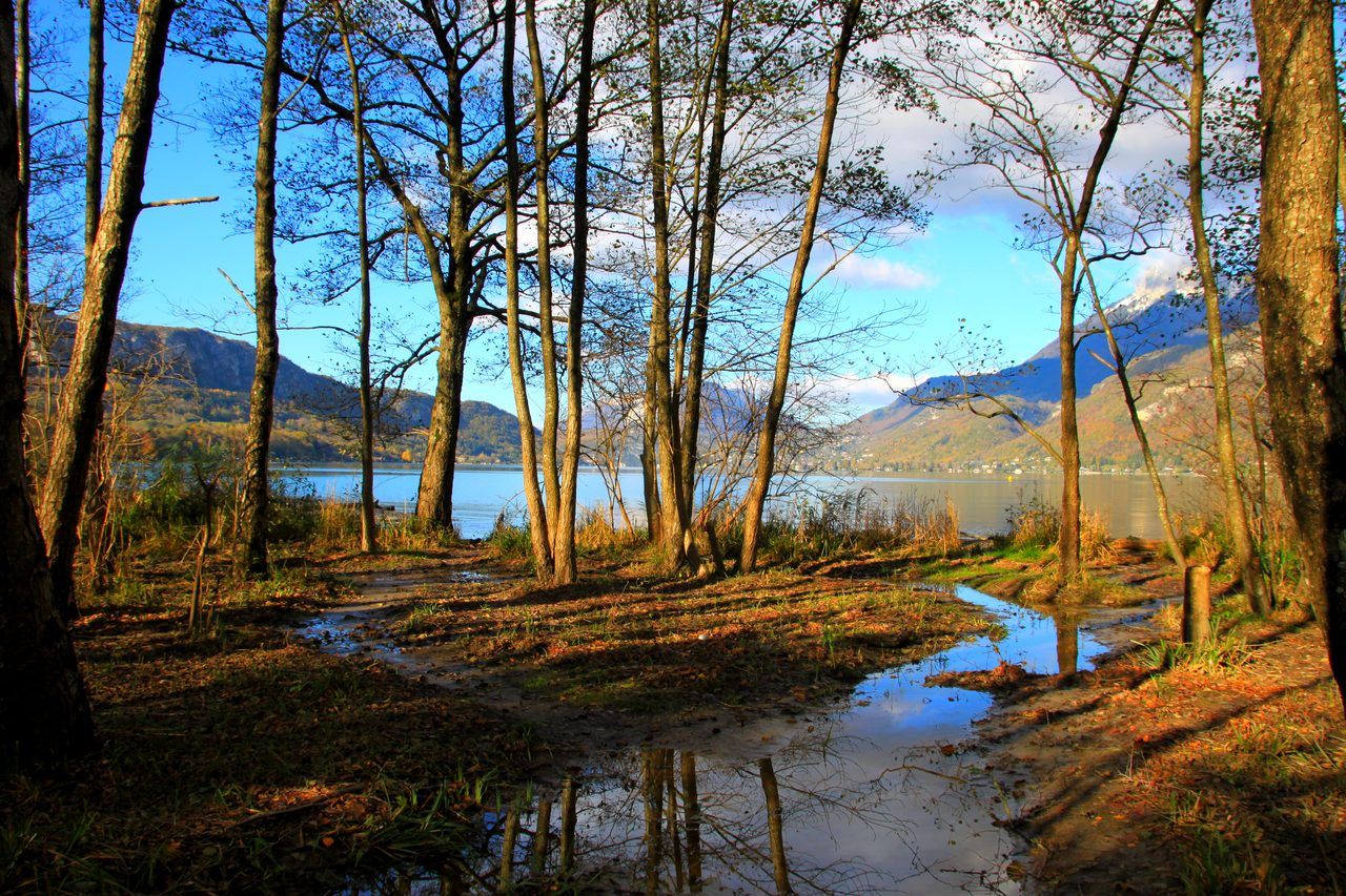 Réserve naturelle Bout du Lac