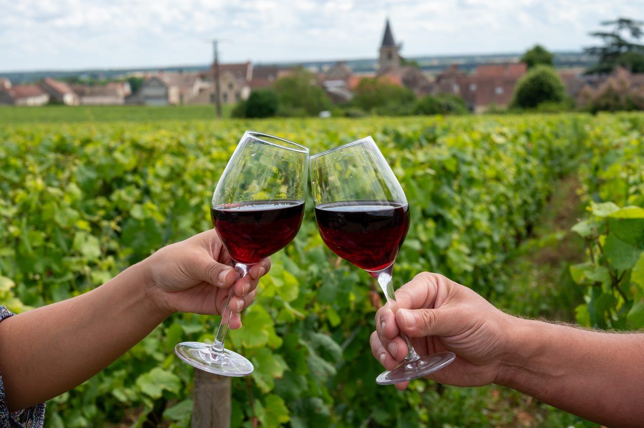 Beaune Bourgogne excursion