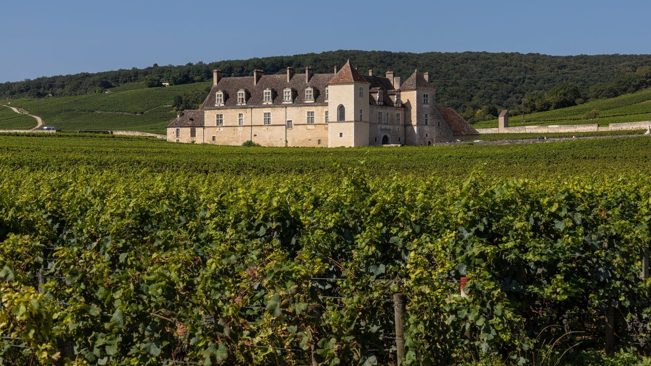 Nuits-Saint-Georges