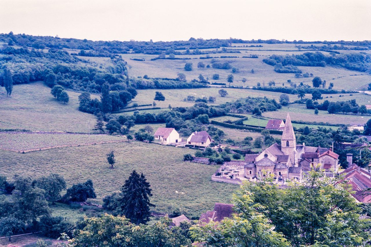 Santenay village vignoble
