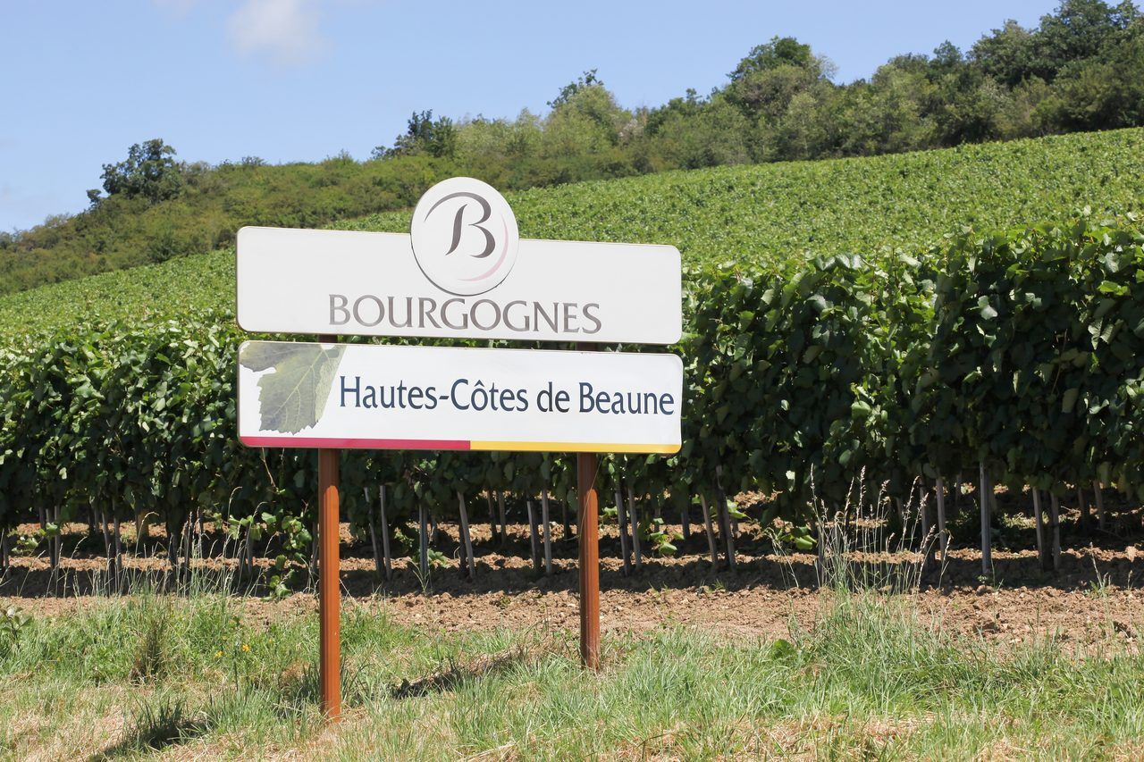 Hautes-Côtes de Beaune