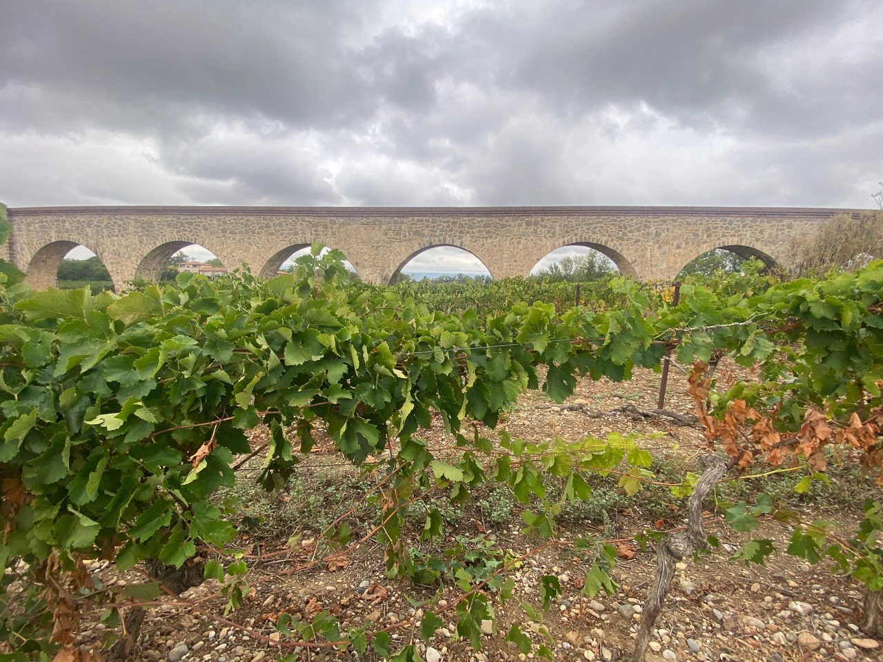 Vignobles Pays Cathare