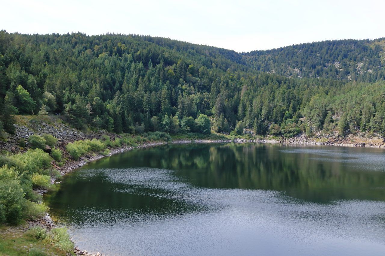 Lac Noir Alsace