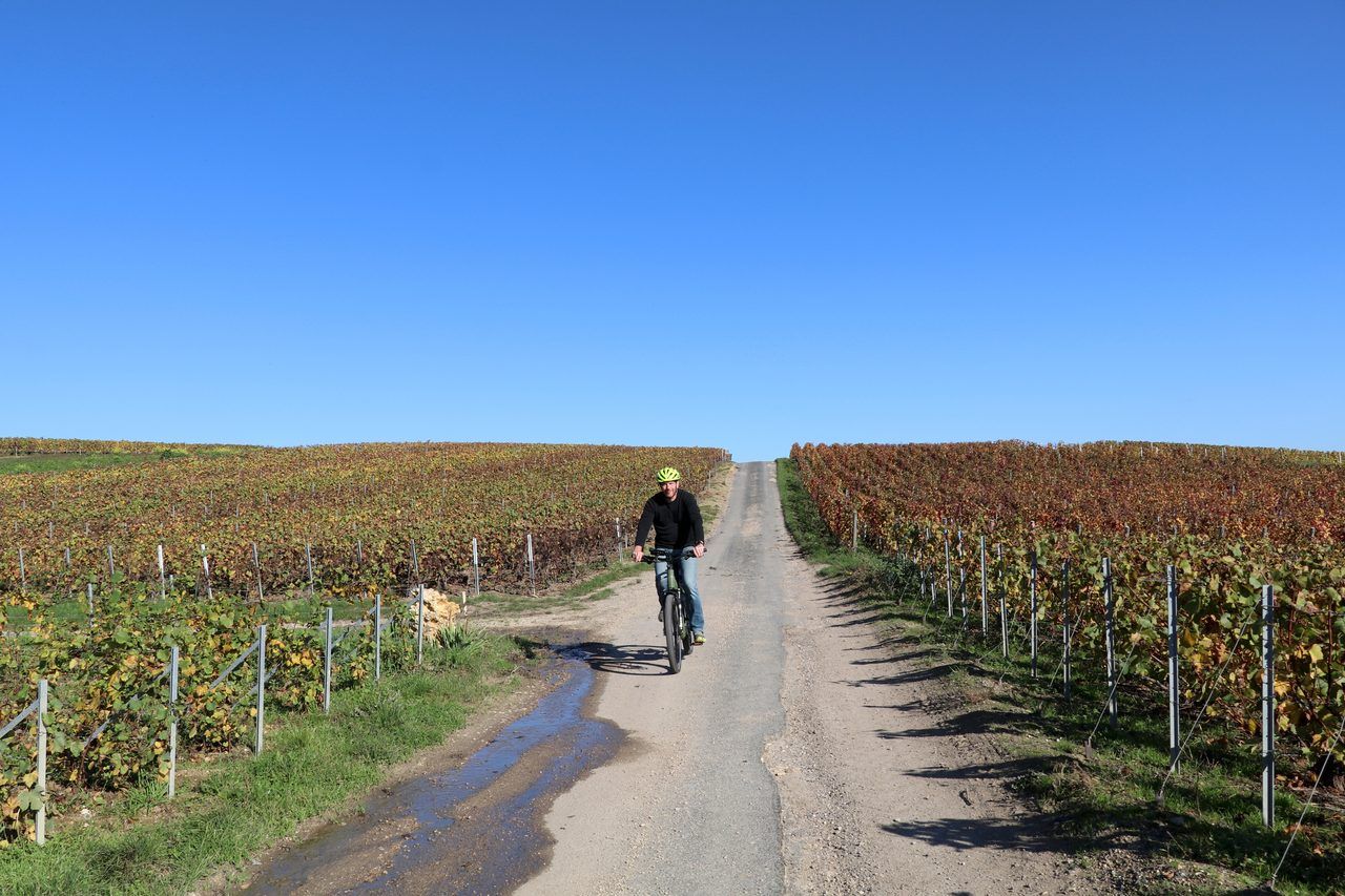 vignoble Épernay vélo