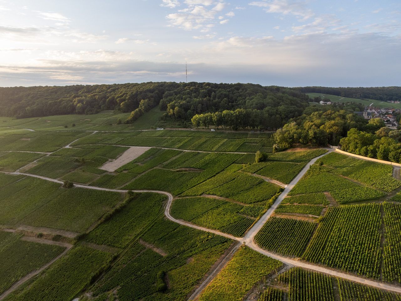 Autour d'Épernay : 12 pépites de Champagne à voir en 2026