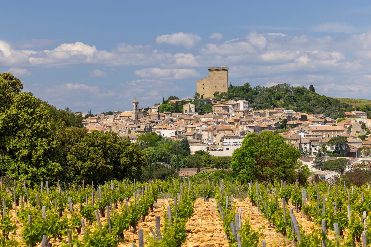 Châteauneuf-du-Pape vignoble