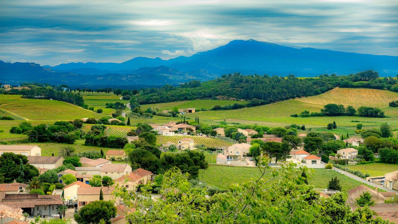 Châteauneuf-du-Pape vignoble