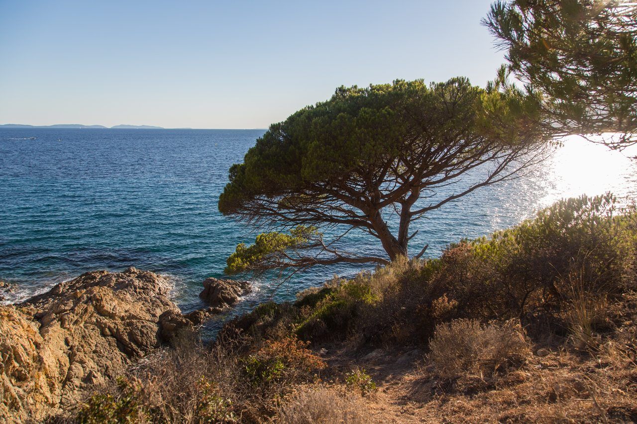 Sentier du littoral Saint-Tropez