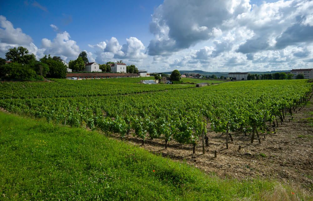 Que voir et visiter aux alentours d’Auxerre ?