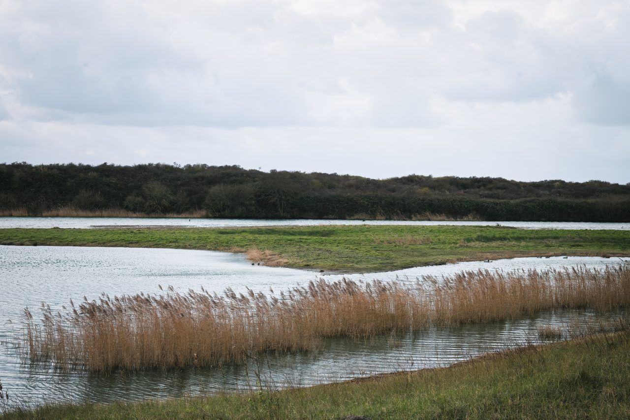 Marais de la Somme