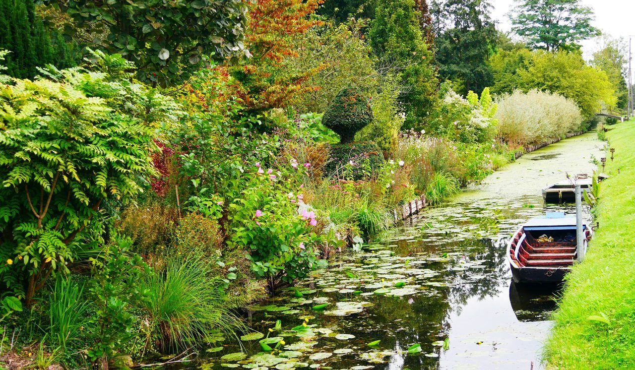 Marais d'Amiens
