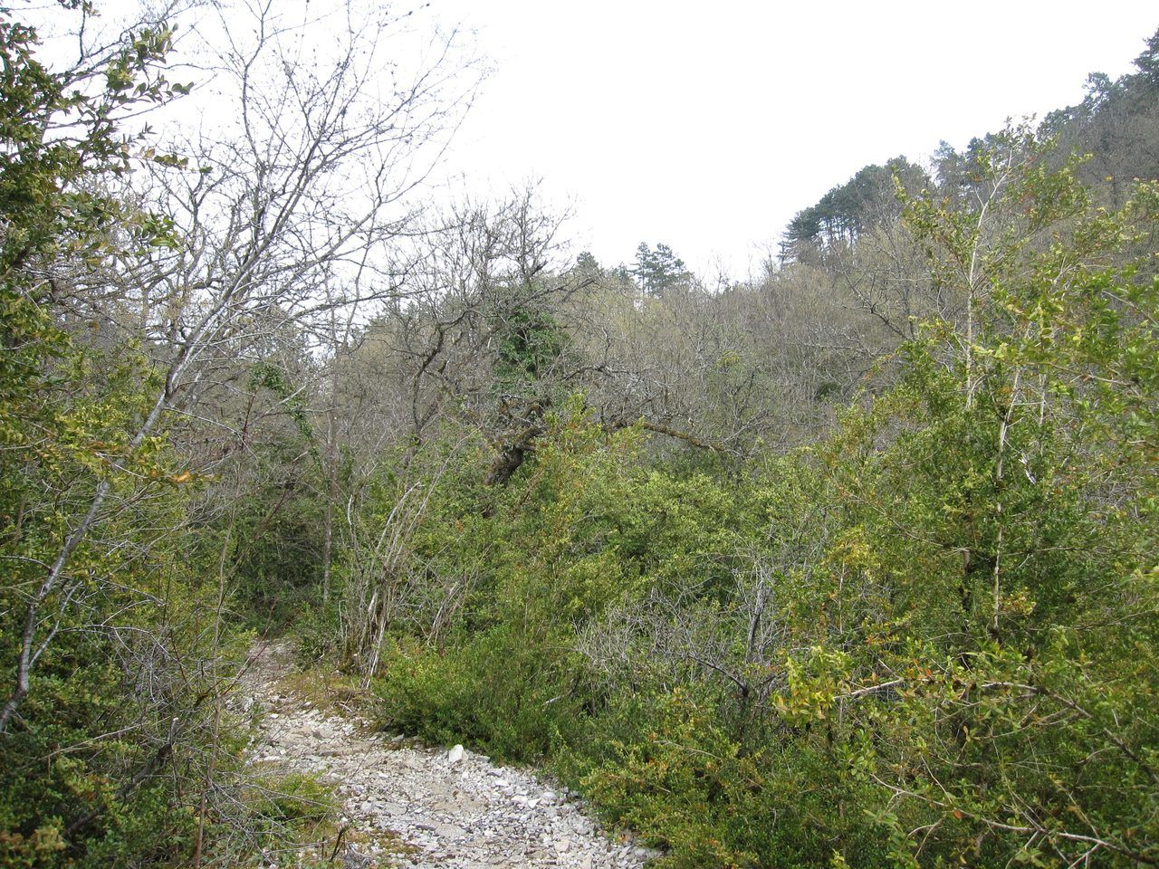 Combe à la Serpent