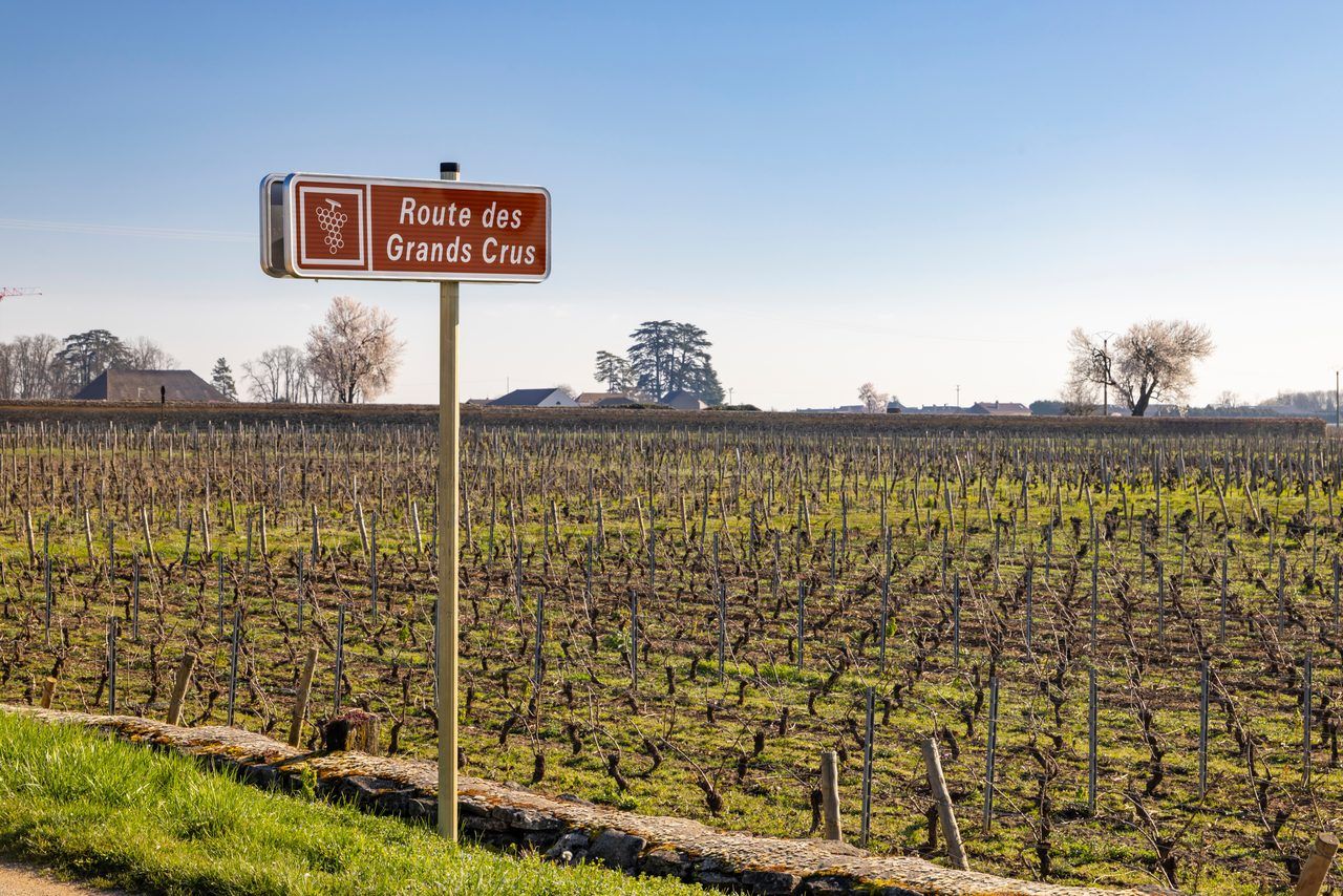Route des Grands Crus