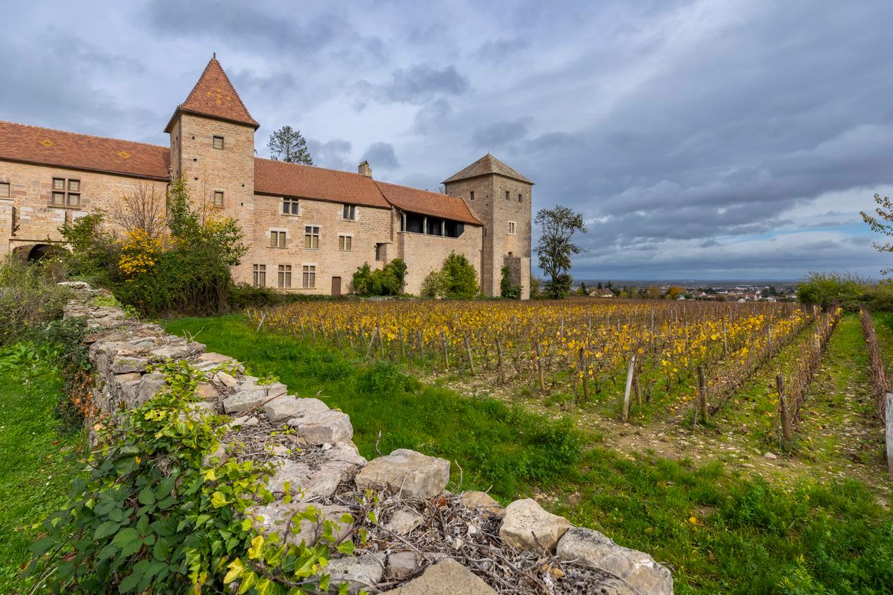 Gevrey-Chambertin vignoble