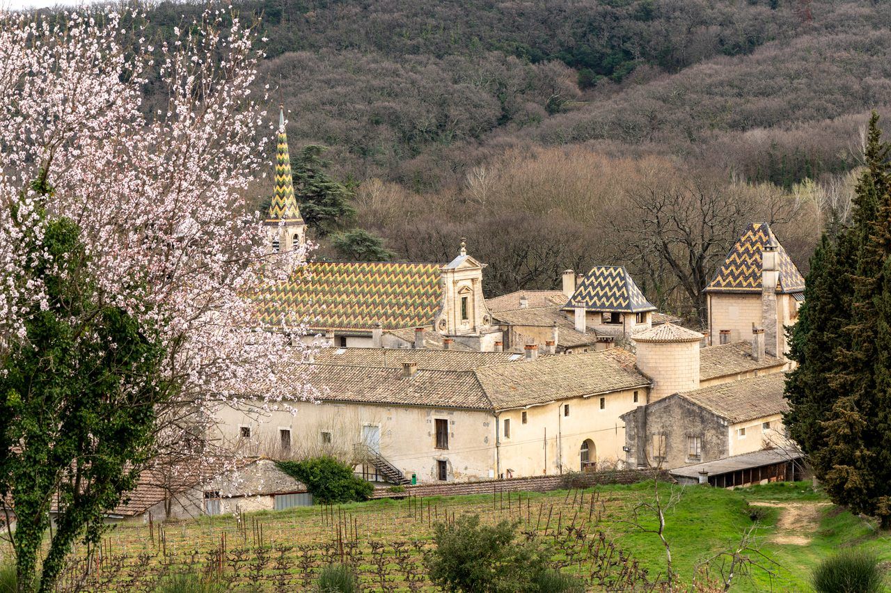 Chartreuse de Valbonne
