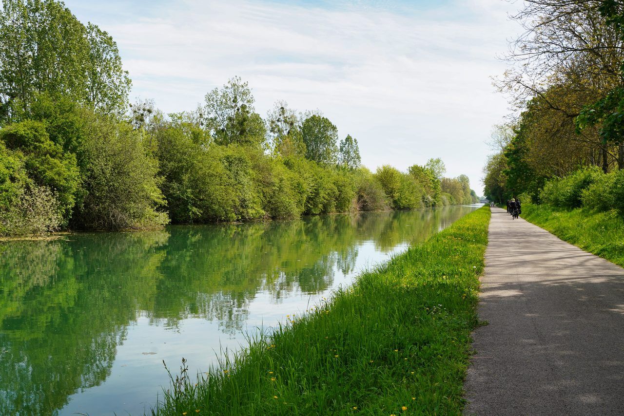 Canal de Pierrelatte