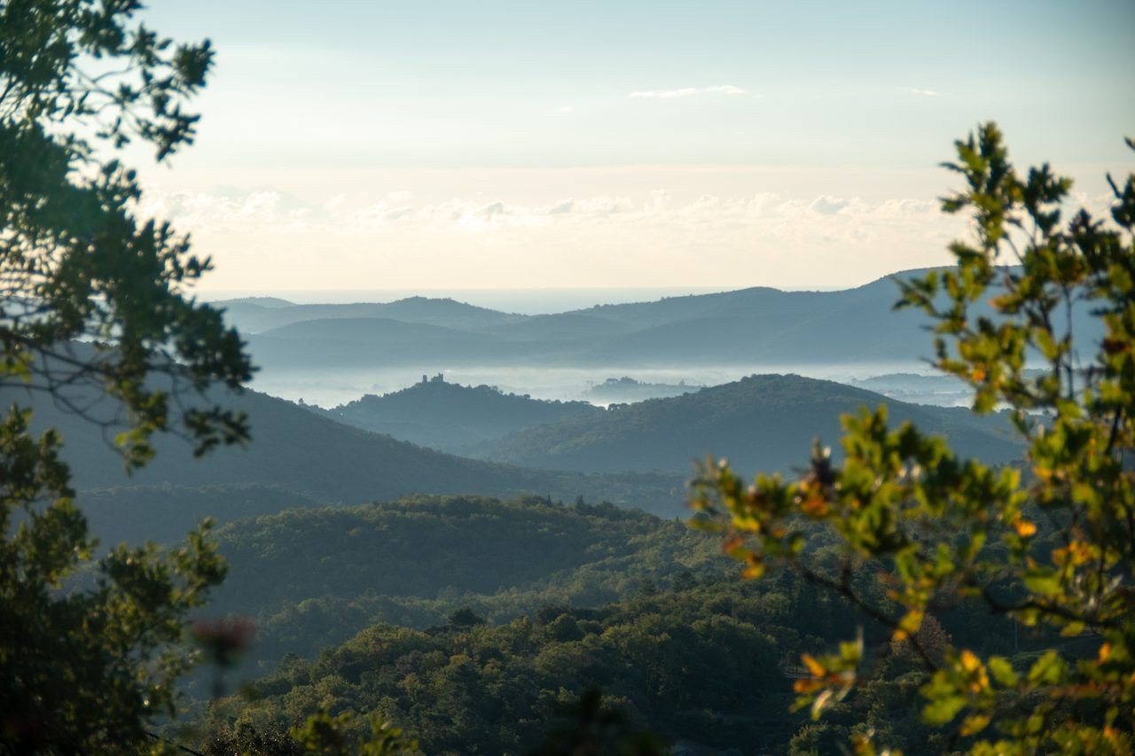 Massif des Maures