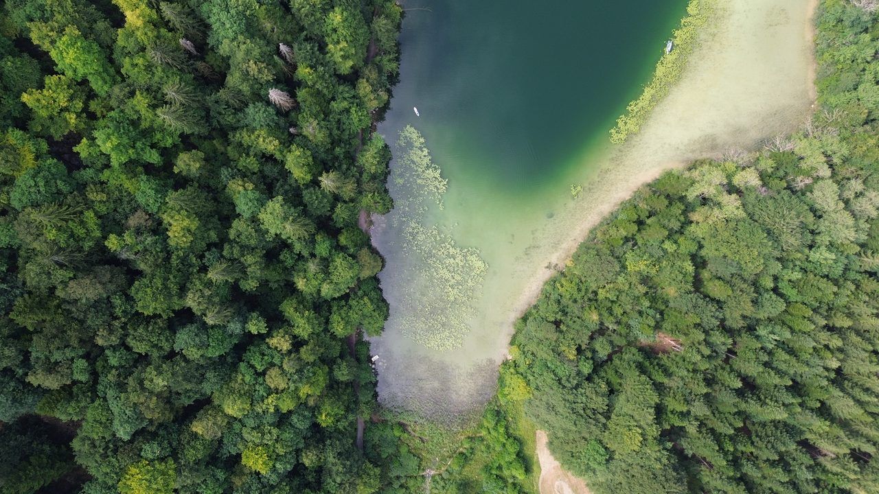 Belvédère des 4 Lacs