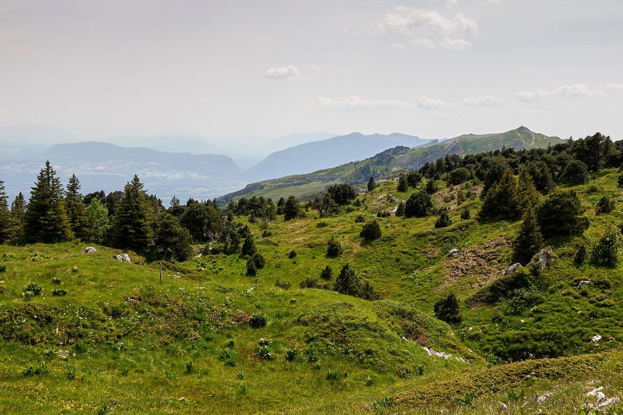 Randonnée dans le Jura : le guide complet des plus belles randonnées (2026)
