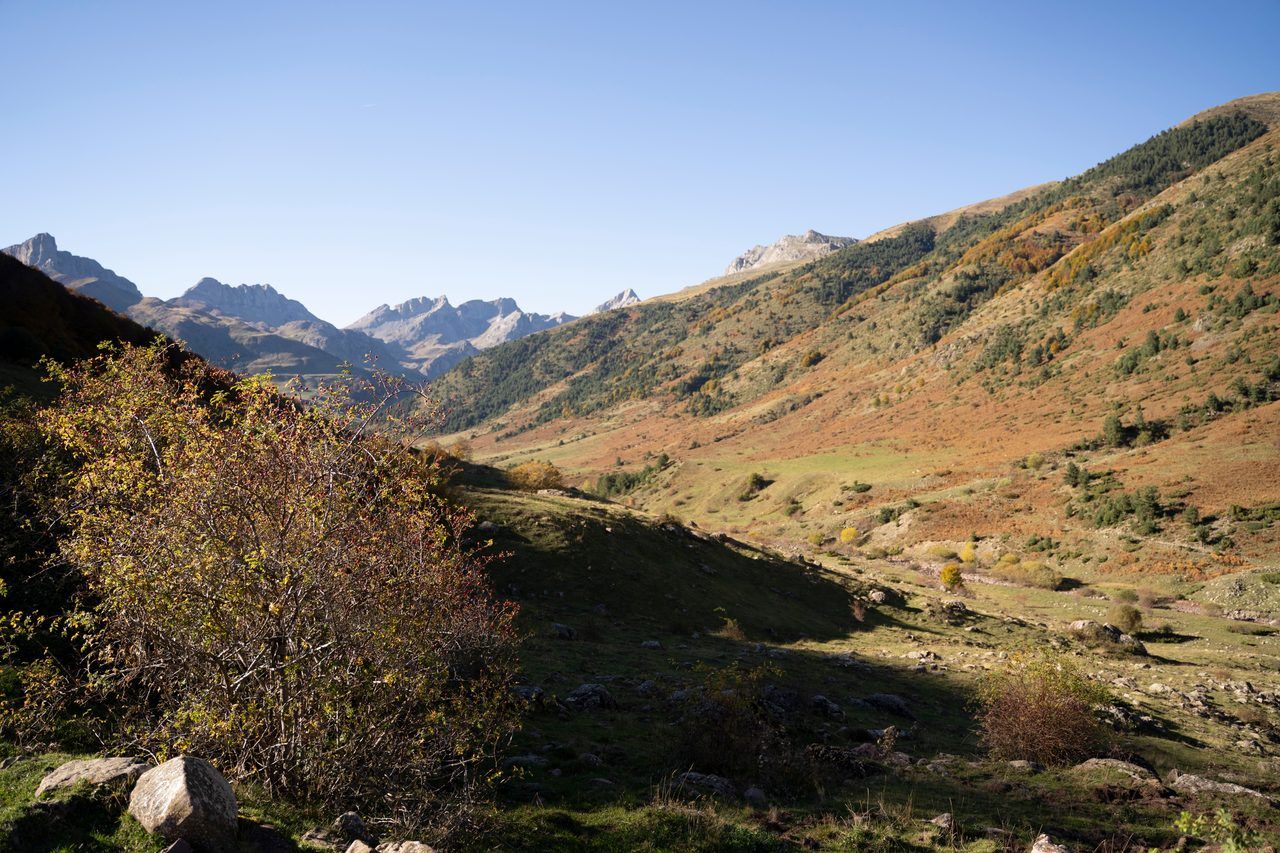 Pyrénées occidentales