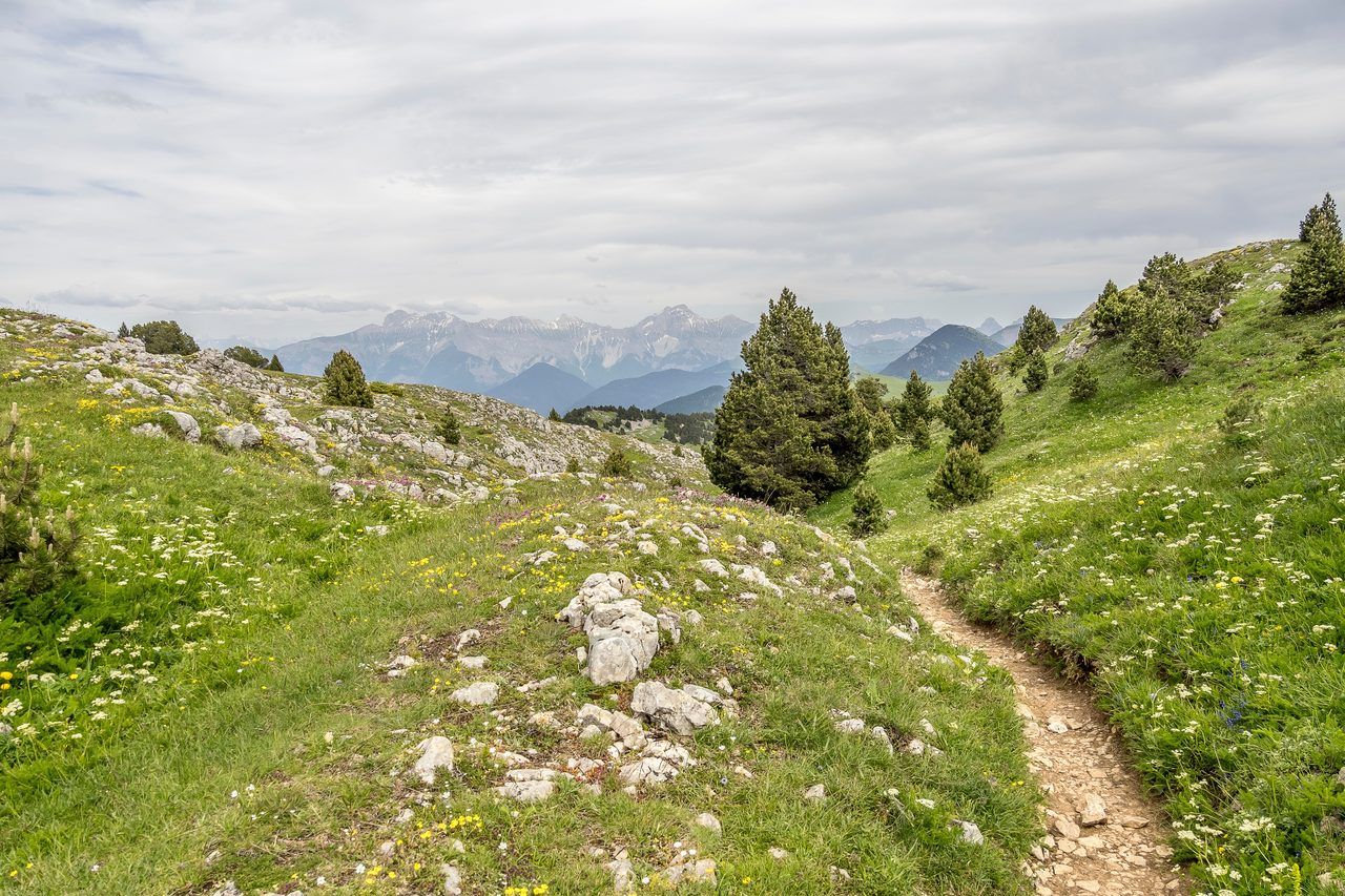 Hauts-Plateaux du Vercors