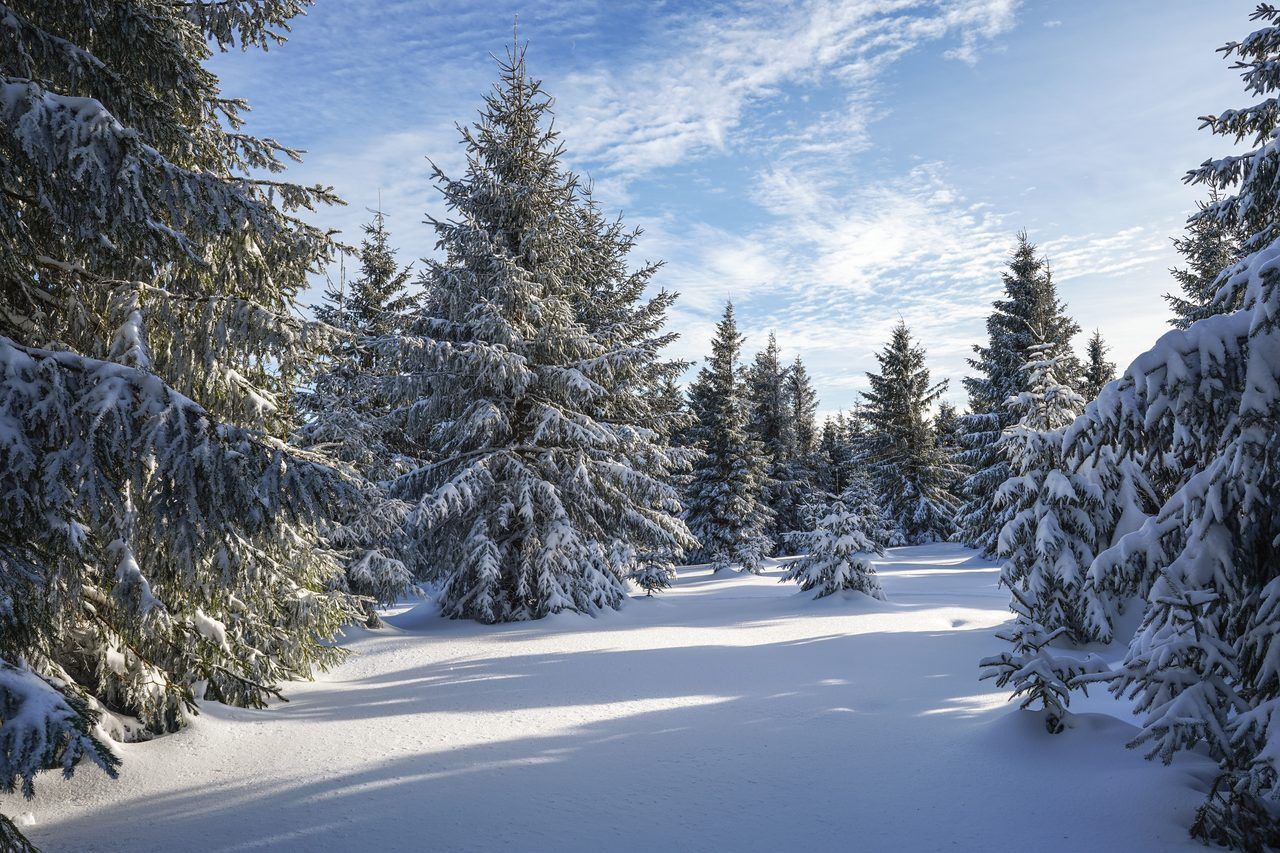 Vosges hiver randonnée