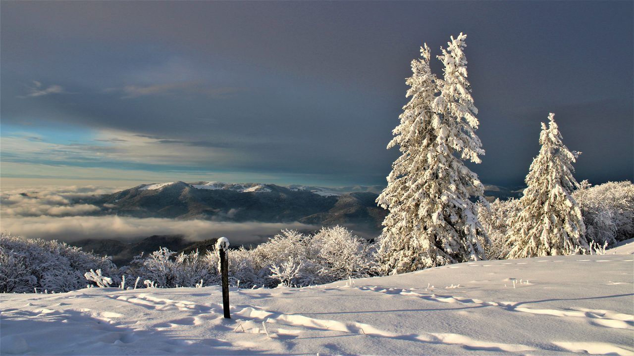 Massif des Vosges