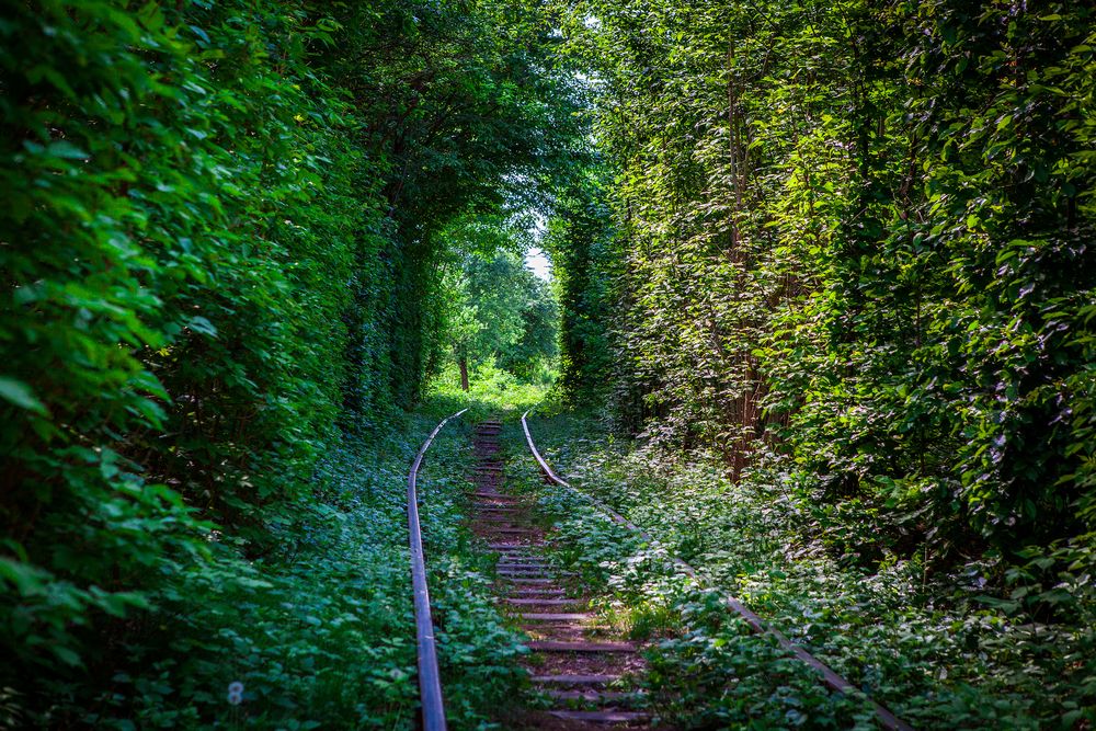 tunnel-decauville