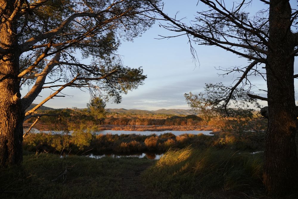 vieux-salins-hyeres