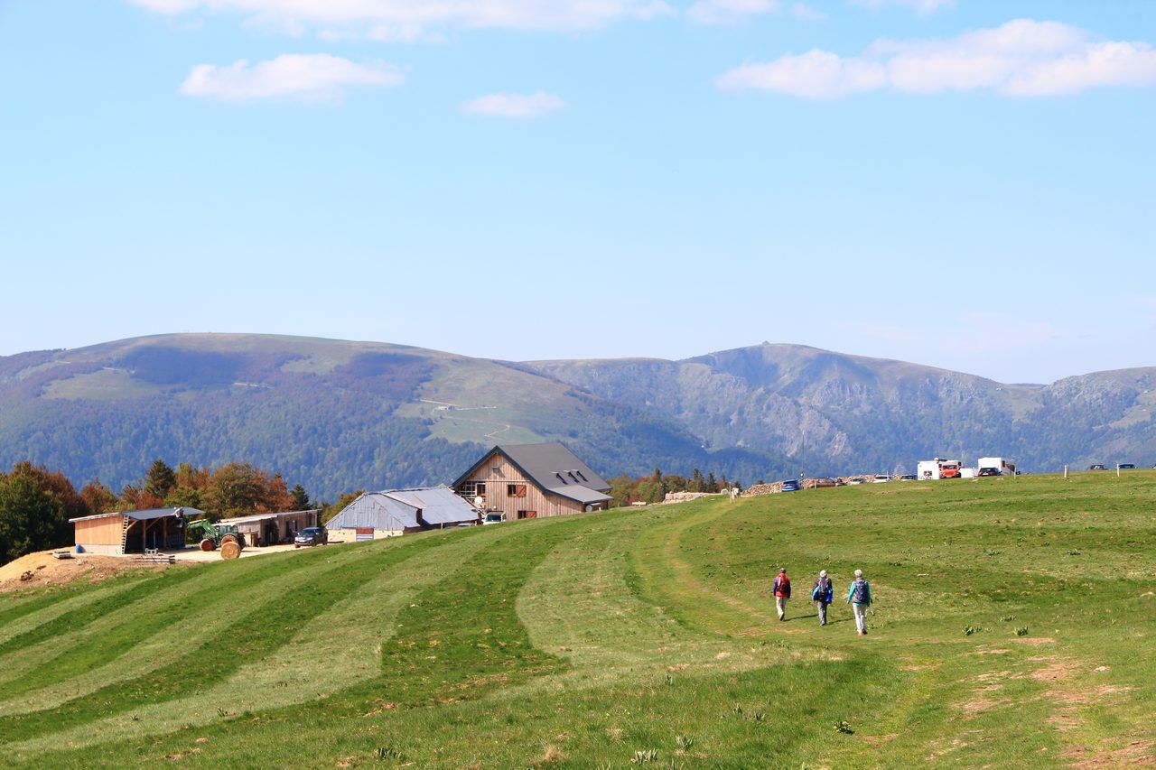 ferme-auberge Vosges