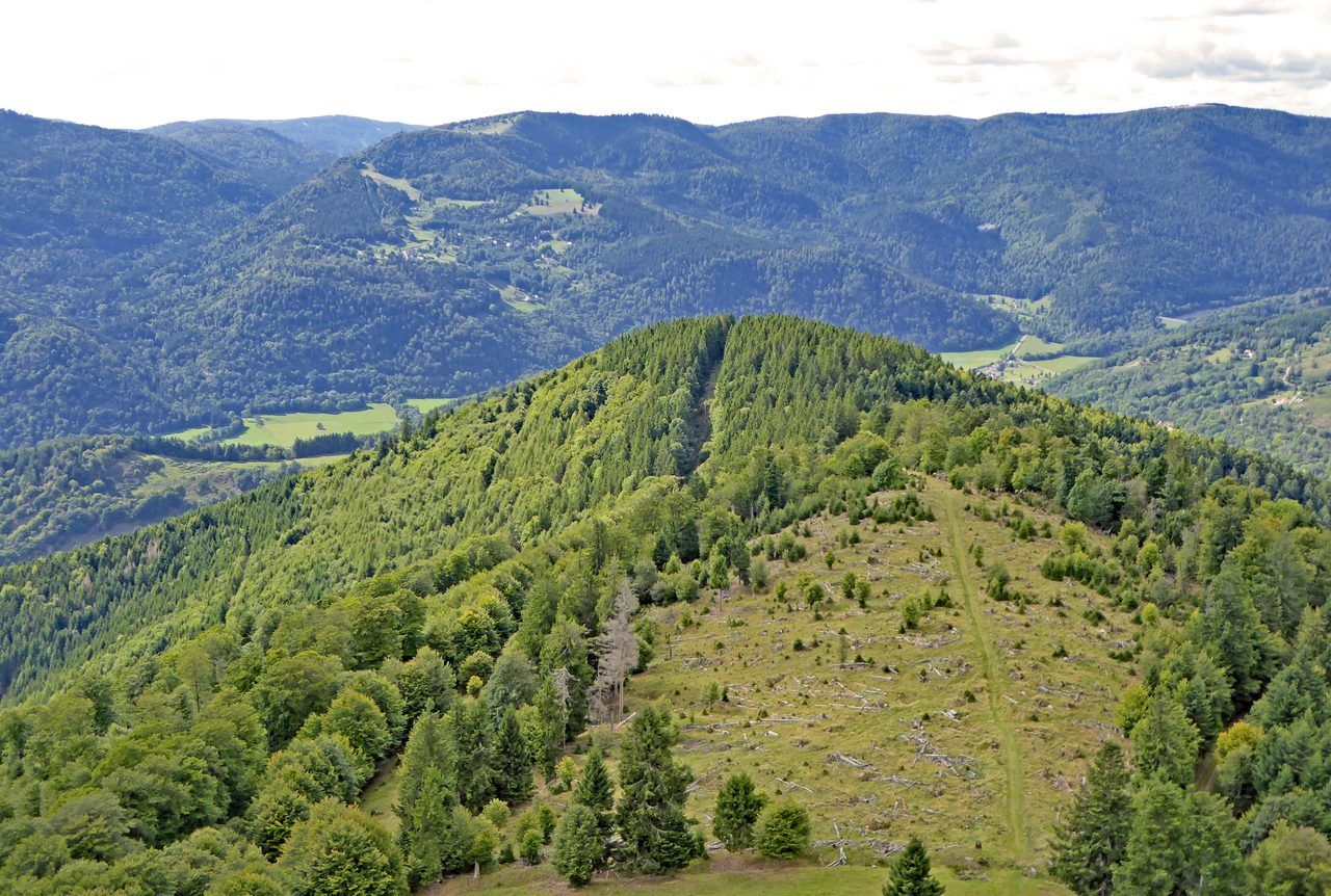 Markstein Vosges