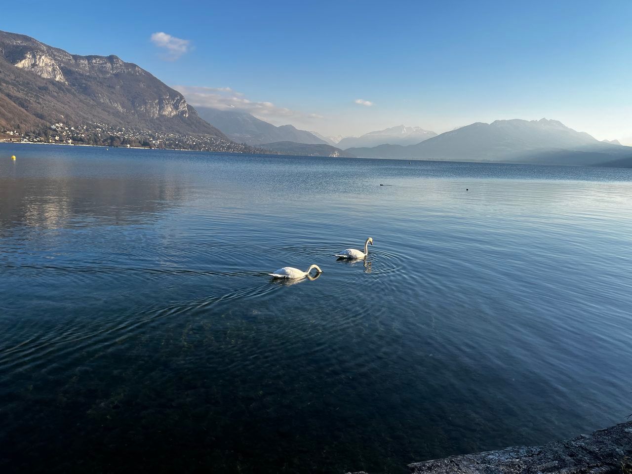 Lac d'Annecy été