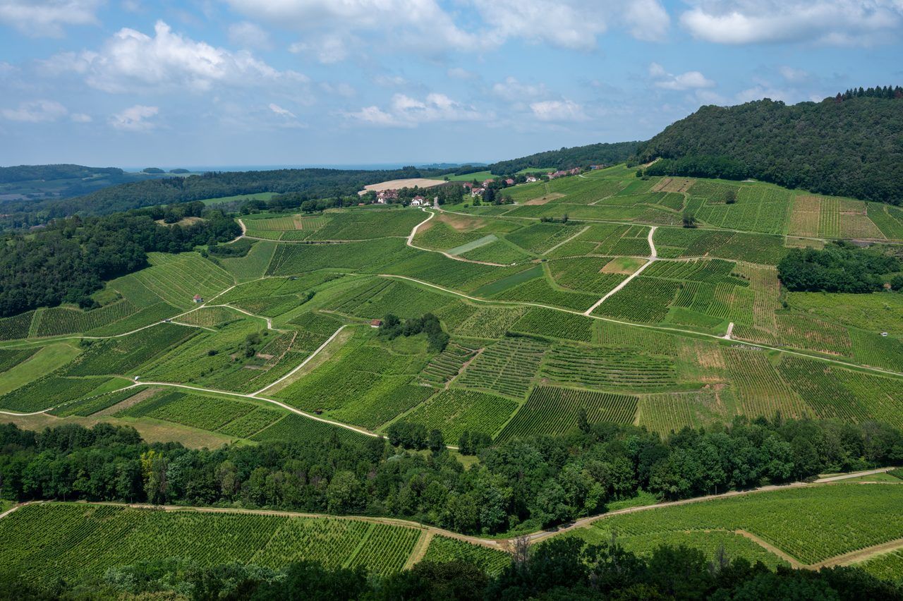 La route des vins du Jura en 2026 : itinéraire complet à travers le vignoble