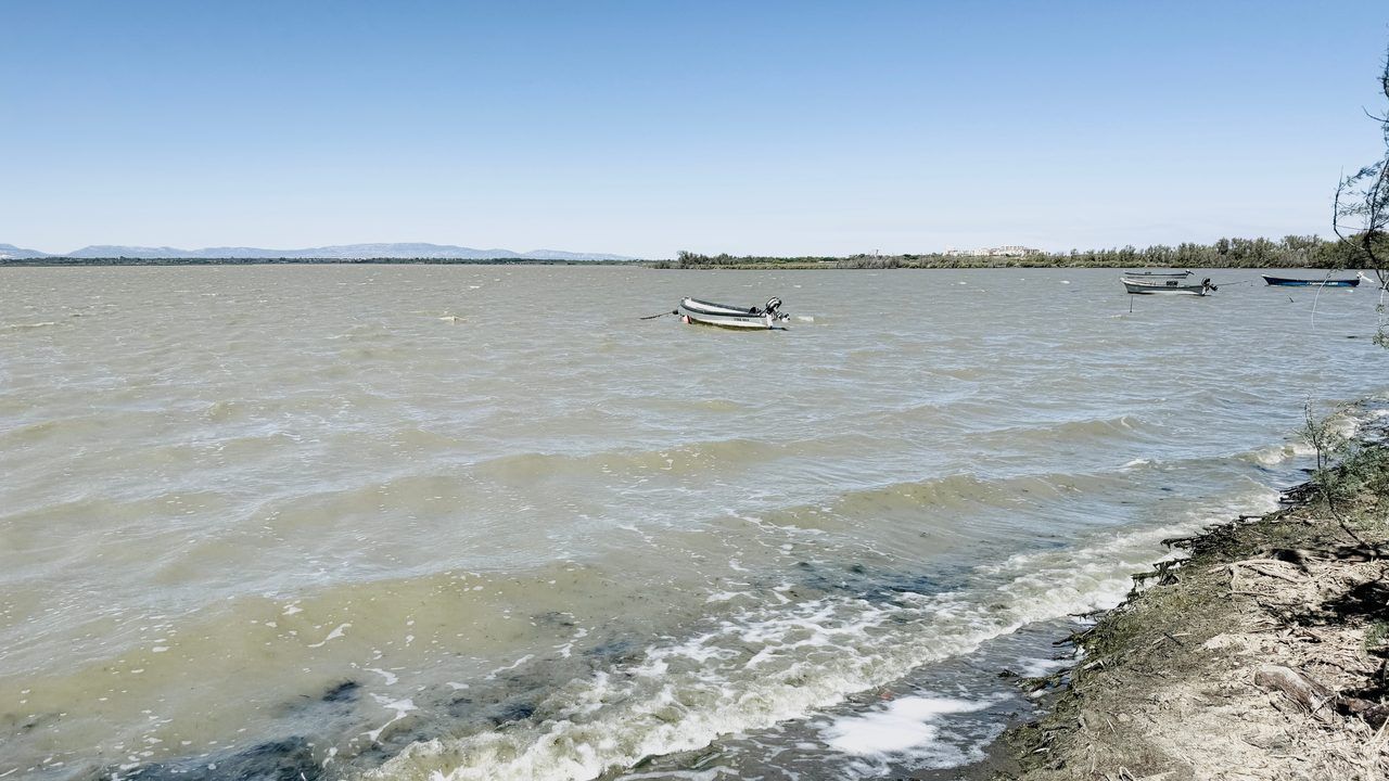 Étang de Canet-Saint-Nazaire