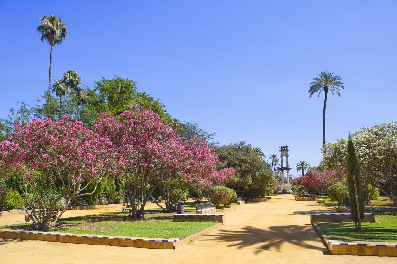 Jardines de Murillo