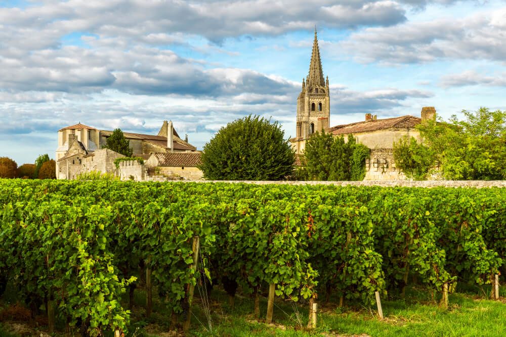 activites bordeaux route des vins