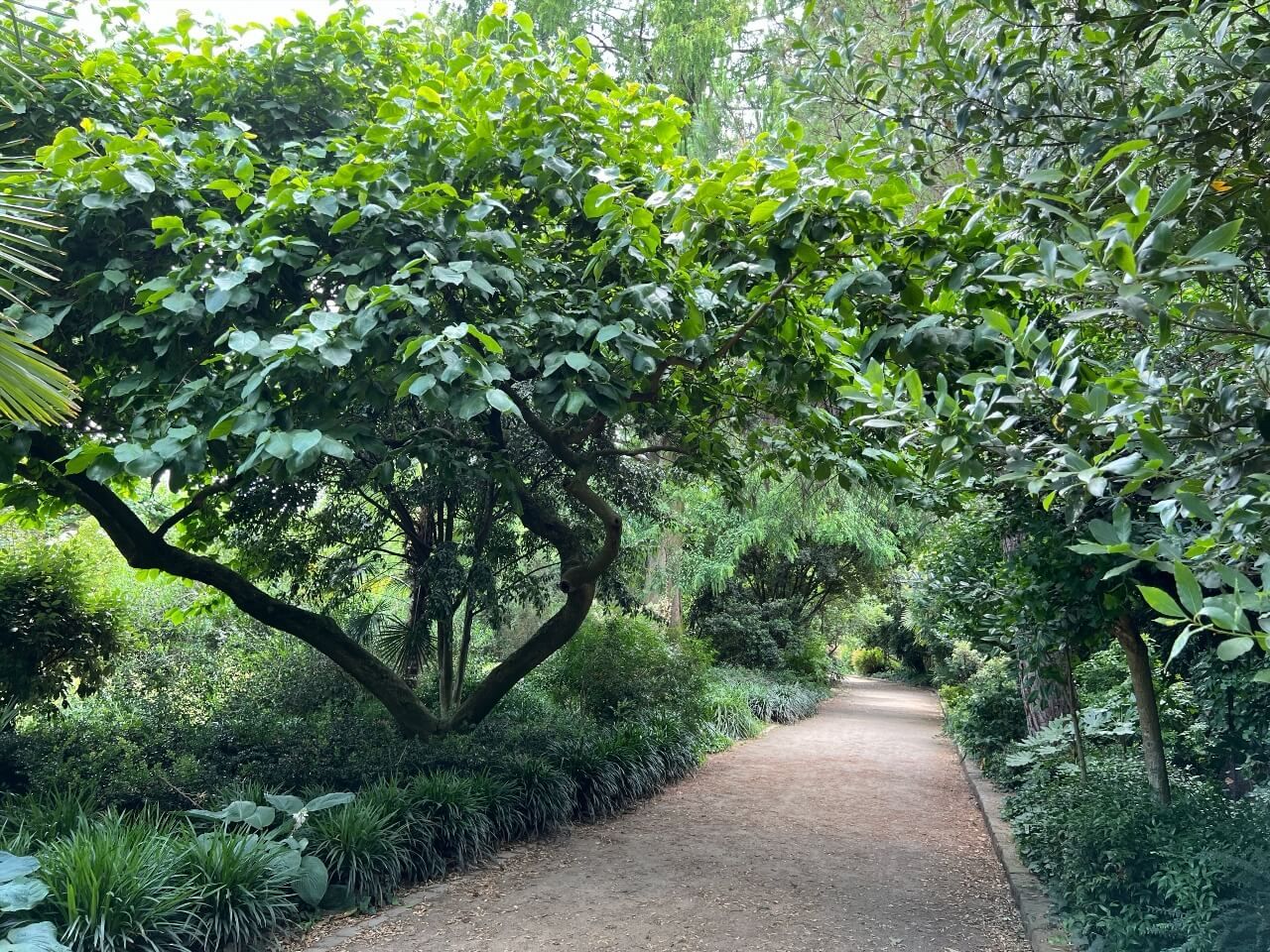 Nizza Park