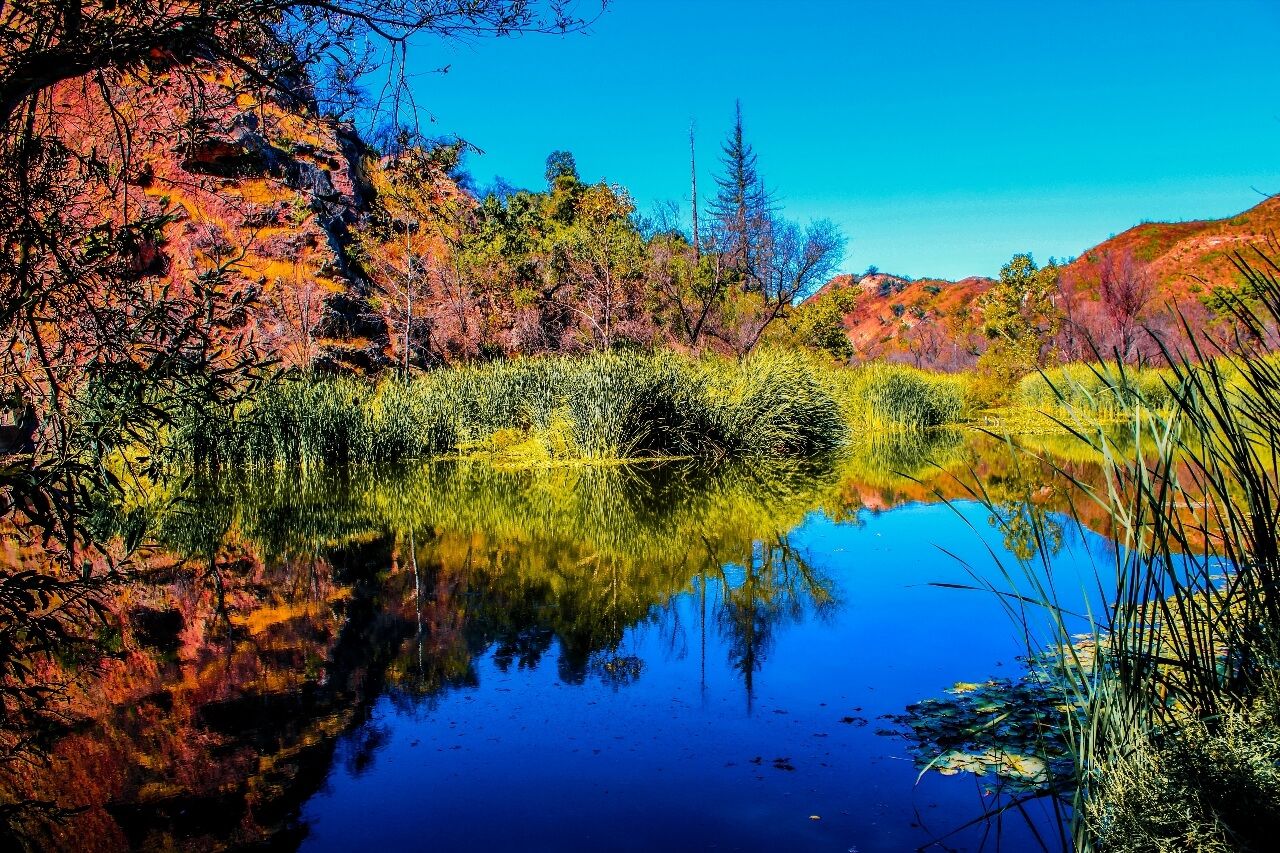Malibu Creek State Park