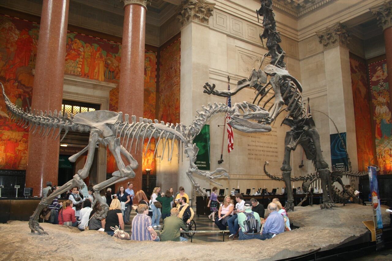 American Museum of Natural History