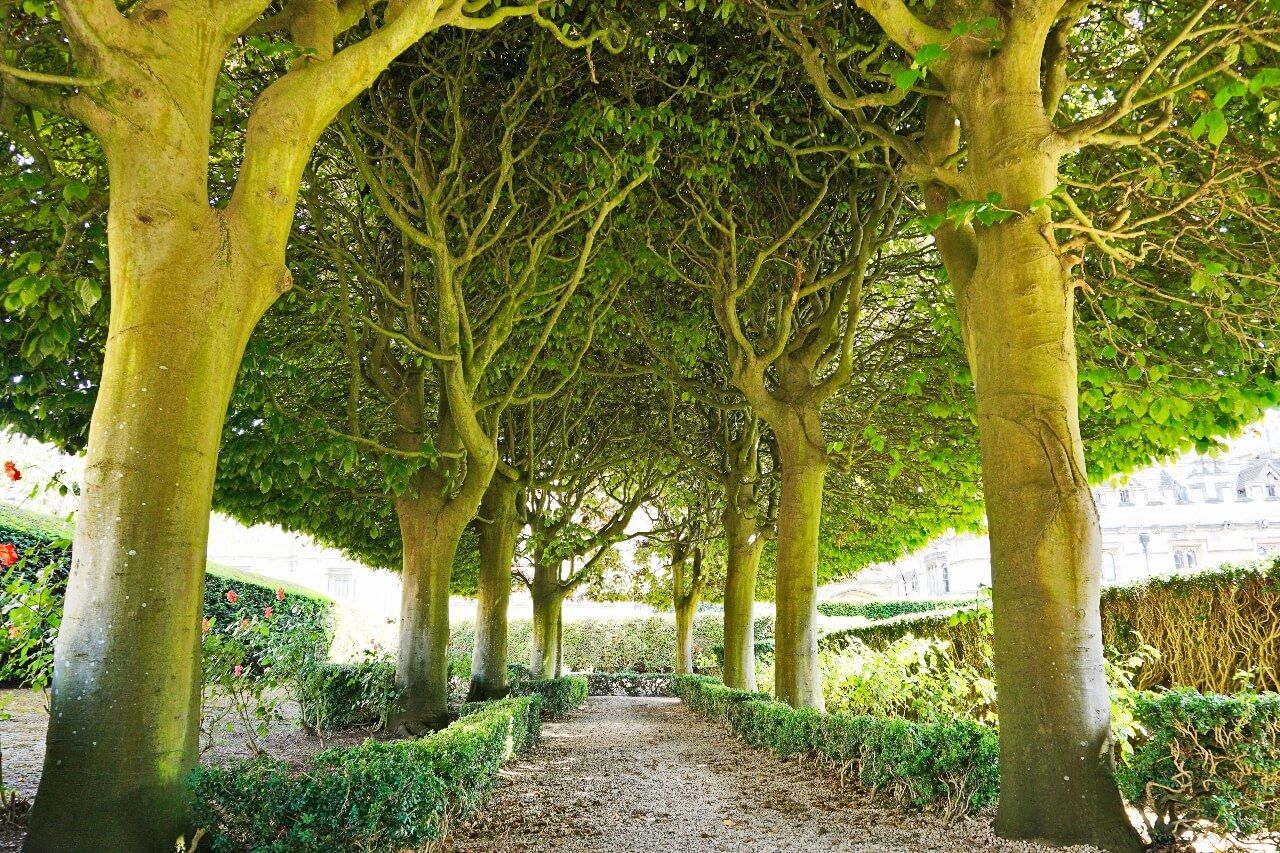 University Parks Oxford