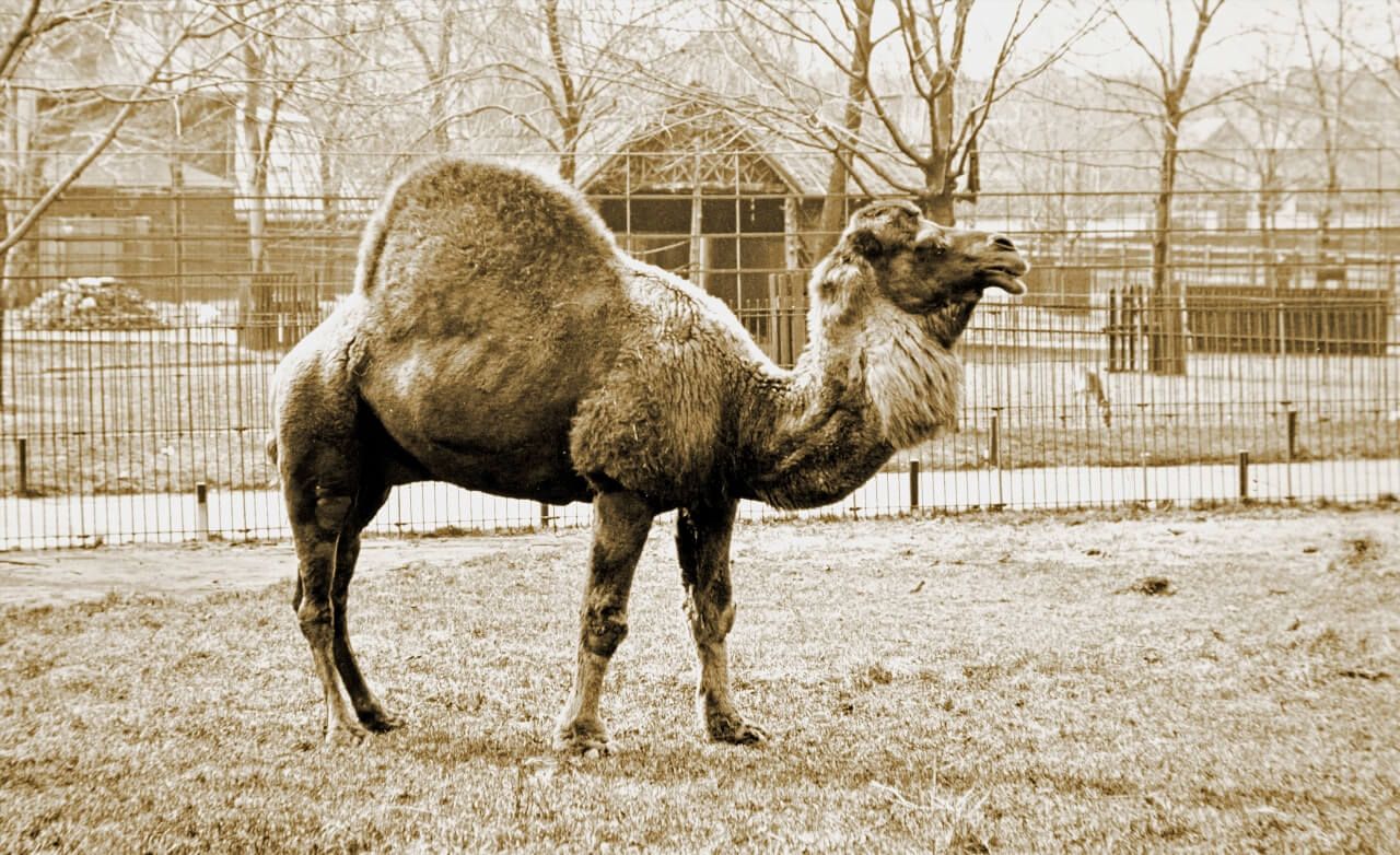 Zoo de Philadelphie