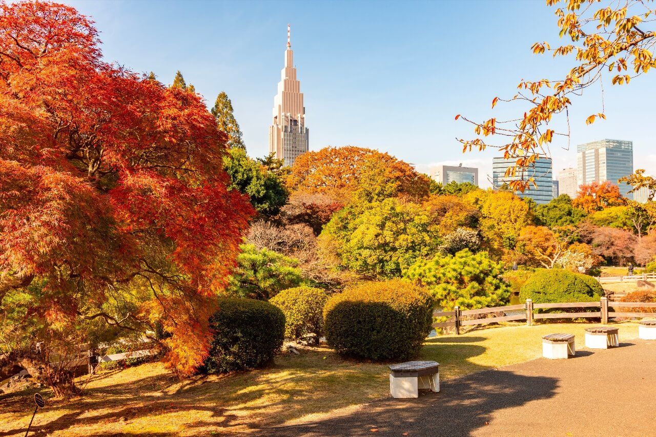 Shinjuku Gyoen