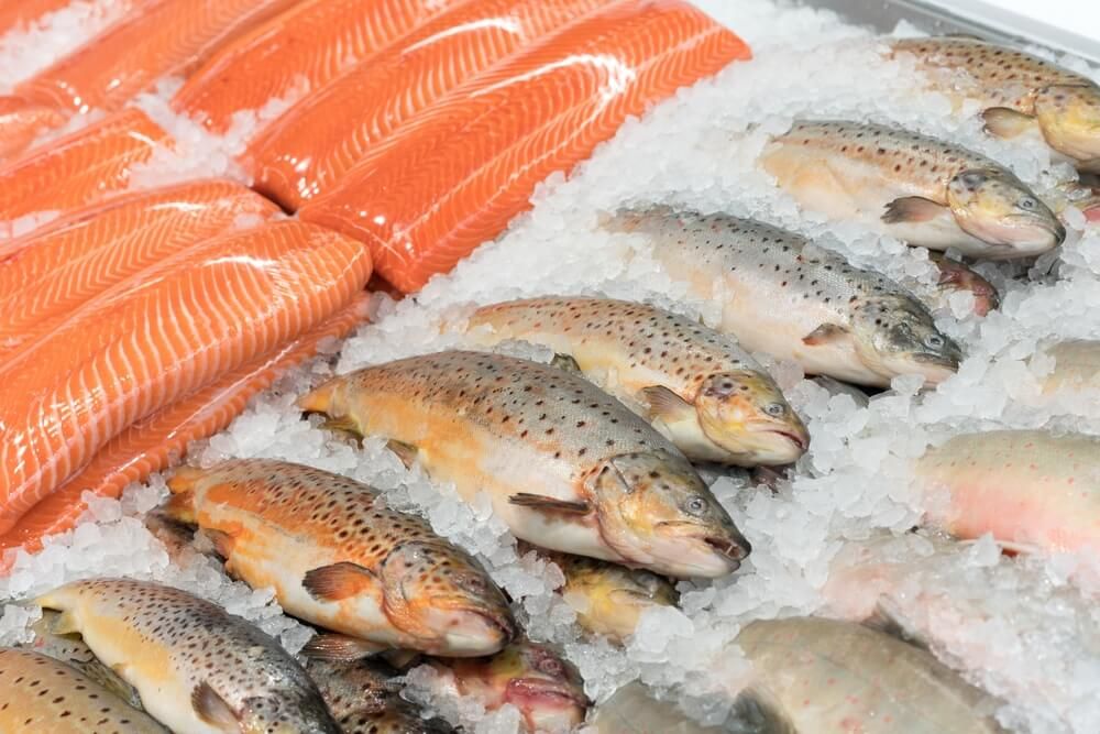 fish