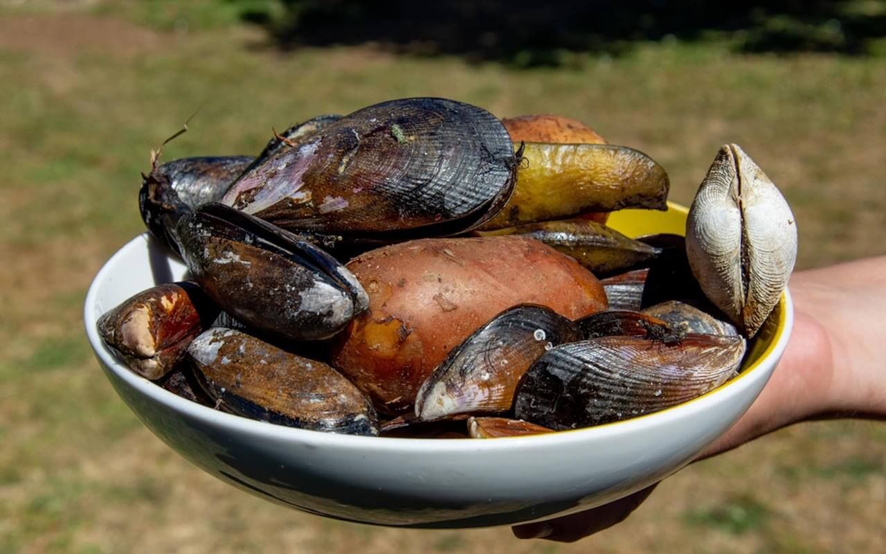 Top 10 des spécialités culinaires à Santiago du Chili