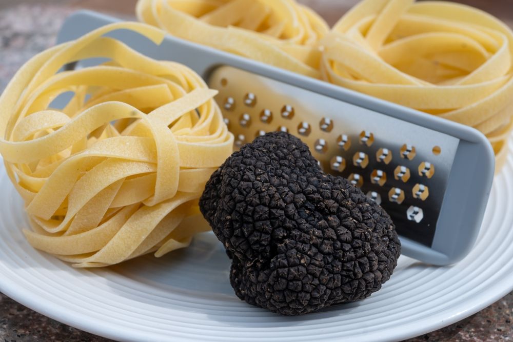 gastronomie-truffe-perigord