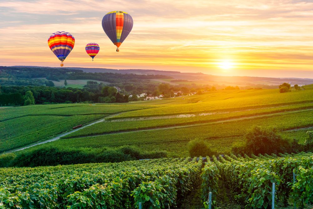Colorful,Hot,Air,Balloons,Flying,Over,Champagne,Vineyards,At,Sunset