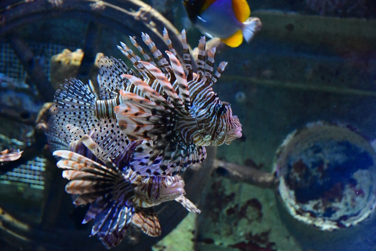 Grand Aquarium Saint-Malo