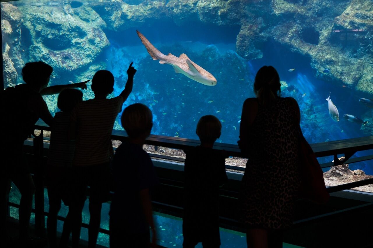 Aquarium de Lyon
